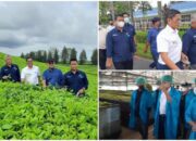 Wakil Menteri I BUMN Kunjungan Kerja  Ke Kebun Teh PTPN IV Sidamik