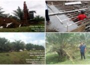 Distrik I PTPN4 Bah Jambi Jalankan Himbauan Kantor Pusat Buat Parit Isolasi Untuk Antisipasi Hewan Ternak
