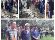 Ini Tanggapan Sekretaris Perusahaan PTPN IV Terkait Pencurian Buah Kelapa Sawit di Afd IX Unit Bah Jambi