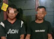 2 Pelaku Ninja Sawit Digiring Ke polres Simalungun Untuk Diproses Sesuai  Dengan Hukum Yang Berlaku