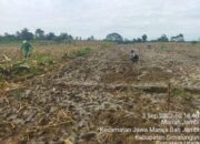 PTPN IV Berupaya Selamatkan Asetnya dari Masyarakat Penggarap
