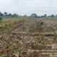 PTPN IV Berupaya Selamatkan Asetnya dari Masyarakat Penggarap
