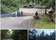 Truck Pakan Terjungkal Di Jalinsum Aek Nauli Parapat