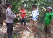 Cegah Kebakaran Hutan dan Lahan Bhabinkamtibmas Polres Simalungun Sampaikan Himbawan kepetani Sawit