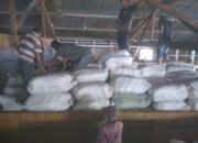 Benarkah Ada Penyaluran Benih 247 Ton Tuk Kelompok Tani 16 Kecamatan?