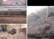 Gawat Hasil Panen Brondolan Hingga Membusuk Kerap Terjadi di PTPN III Kebun Silayw Dunia LSM PPLH Desak Dirut Holding Perkebunan Evalyasj Ownabat Terkait