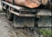 Diduga Izin Penebangan Kayu Merusak Perekonomian Dan Meresahkan Masyarakat