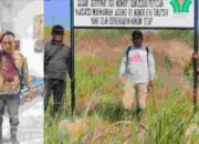 Ahir Cerita Penggarap Lahan HGU PTPN II Dengan Adanya Putusan MA