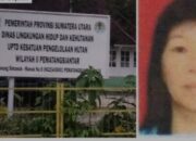 Pegawai KPH II Ungkap Bisnis Illegal Meilin dan RN, Masyarakat Desak TNI Pertahankan Kedaulatan Negara  15 Nov.2024