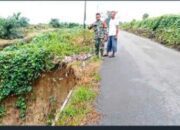 Longsor Di Pematang Silapuyang Makin Parah Akses Jalan Terancam Putus