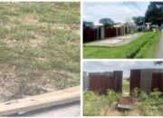 Diduga Terkait Proyek Revitalisasi Lapangan Horbo Sekitar 1,2 M Menggunakan Rumput Kerbau