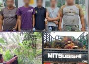 Ringkus 5 Bandit Pencuri TBS di PTPN – 4 Oleh Jatanras Sat Reskrim  Polres Simalungun