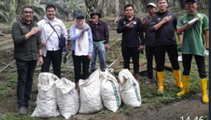 Gotong Royong Kutip Brondolan Dobrakan Kebun Bahbirong Ulu Capai Target Produksi