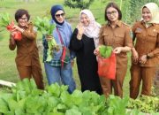 Kunjungan Pokja Bunda PAUD Kabupaten Simalungun Ke Rumah Dinas Bupati Semangat Kejeluargaan dan Ketahanan Pangan