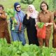 Kunjungan Pokja Bunda PAUD Kabupaten Simalungun Ke Rumah Dinas Bupati Semangat Kejeluargaan dan Ketahanan Pangan