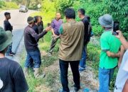 Temuan Bangkai Satwa Liar di Kelurahan Girsang BKSDA dan Camat Tegaskan Bukan Harimau Sumatra Melainkan Macan Akar
