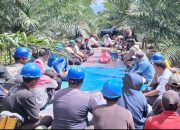 Produksi Kebun Bah Birung Ulu Tembus 10.9 Juta  kg Lampaui Target RKAP