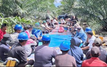Produksi Kebun Bah Birung Ulu Tembus 10.9 Juta  kg Lampaui Target RKAP