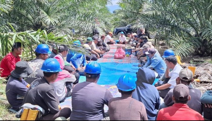 Produksi Kebun Bah Birung Ulu Tembus 10.9 Juta  kg Lampaui Target RKAP