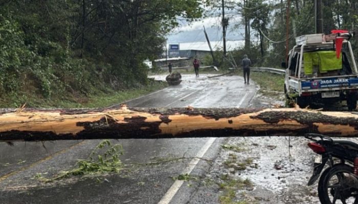 Pohon Tumbang Tutup Jalan Siantar Prapat Laporan Warga Via 110  Direspon Cepat Jalan Kembali Normal Polres Simalungun Imbauw Waspada Cuaca Extrem