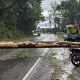 Pohon Tumbang Tutup Jalan Siantar Prapat Laporan Warga Via 110  Direspon Cepat Jalan Kembali Normal Polres Simalungun Imbauw Waspada Cuaca Extrem