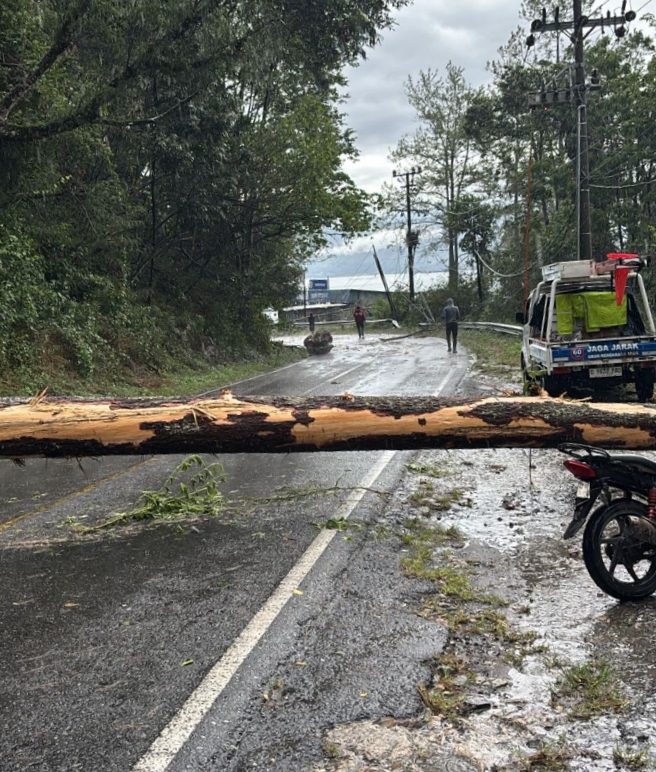 Pohon Tumbang Tutup Jalan Siantar Prapat Laporan Warga Via 110  Direspon Cepat Jalan Kembali Normal Polres Simalungun Imbauw Waspada Cuaca Extrem