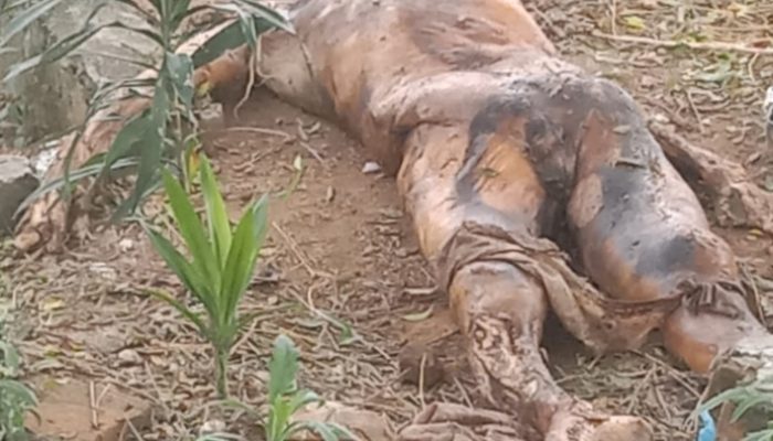 Polsek Gunung Malela Himbau Warga Tidak Panik  Jasad Ya g Digali Orang Tak Dikenal di TPU Muslim Trlah Dimakamkan kembali Dengan Bsik