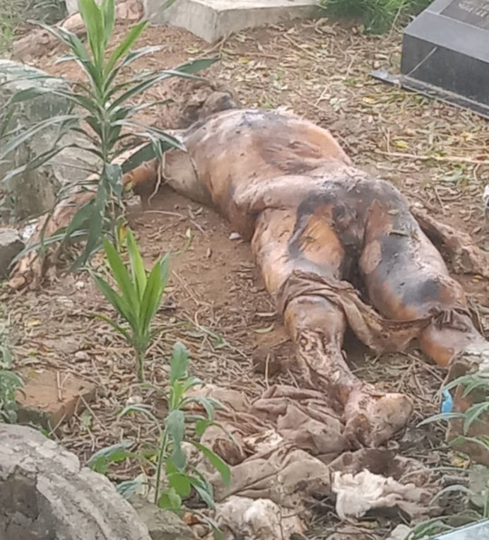 Polsek Gunung Malela Himbau Warga Tidak Panik  Jasad Ya g Digali Orang Tak Dikenal di TPU Muslim Trlah Dimakamkan kembali Dengan Bsik