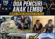 Unit Jatanras Polres Simalungun Tunjukkan Taring Respon Kilat Tangani Laporan 110 Dua Pencuri Lembu Berhasil Dijerat