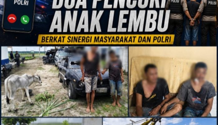 Unit Jatanras Polres Simalungun Tunjukkan Taring Respon Kilat Tangani Laporan 110 Dua Pencuri Lembu Berhasil Dijerat