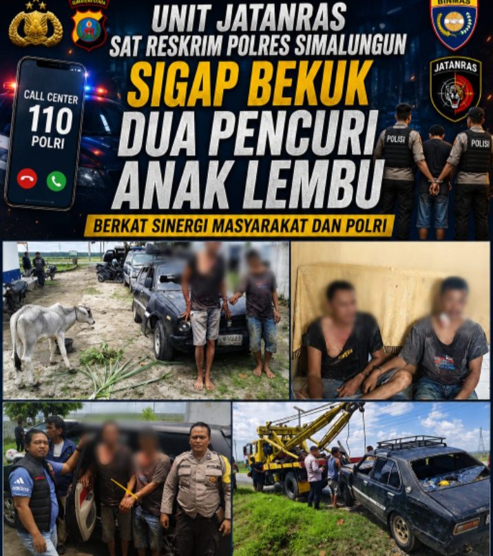 Unit Jatanras Polres Simalungun Tunjukkan Taring Respon Kilat Tangani Laporan 110 Dua Pencuri Lembu Berhasil Dijerat
