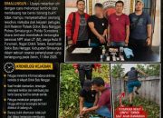 Tak Kapok Dipenjara 7 Tahun Polsek Dolok Batunanggar  Kembali Gulung Residivis Sabu Yang Nekat Lompat Tembok  Saat Hendak Ditangkap
