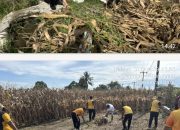 Kapolsek Tanah Jawa Pimpin Langsung Apel Korve Panen Raya Jagung Serentak Kwartal II 2026 Polri Hadir Nyata di tengah Masyarakat Tani