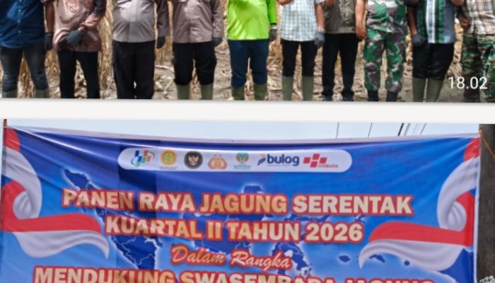 Dipimpin Langsung Presiden Prabowo Secara Virtual Polres Simalungun Sukseskan Panen Raya Jagung Serentak Kwartal II Tahun 2026 di Nagori Muara Mulia