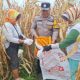 Babinkamtibmas Polsek Siantar Marihat Bersama Petani Binaan Panen Jagung di Perladangan Simarimbun Dolok
